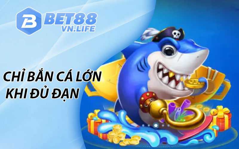 Chỉ bắn cá lớn khi đủ đạn