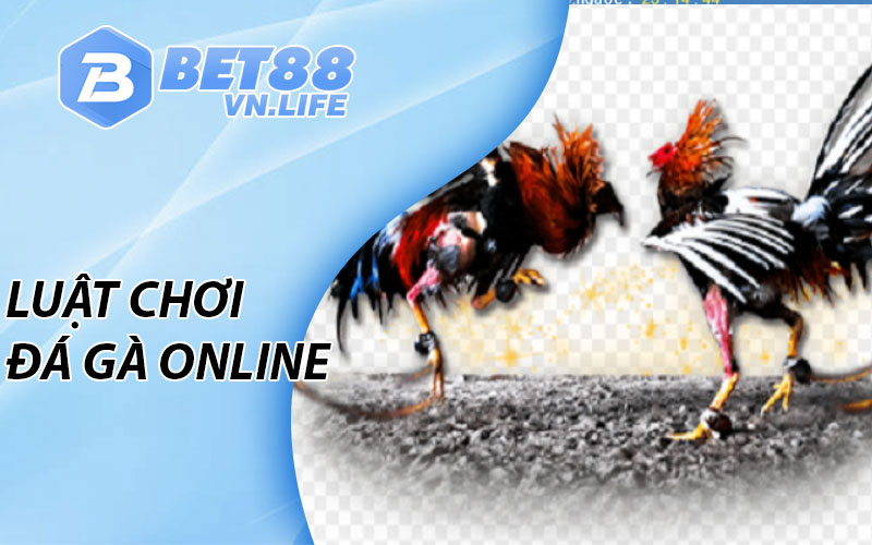 Luật chơi đá gà BET88 online