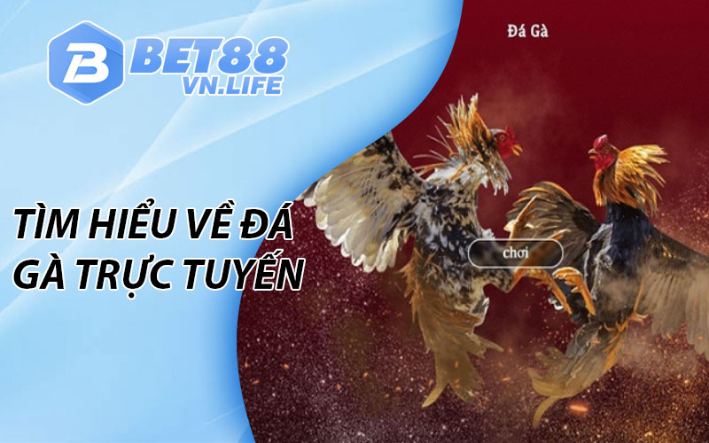 Tìm hiểu về Đá Gà BET88 trực tuyến 